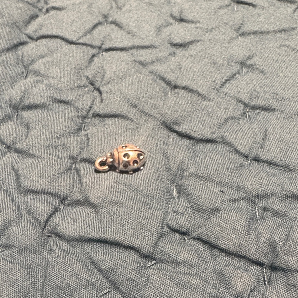 James Avery Silver Ladybug Charm